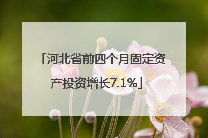 河北省前四个月固定资产投资增长7.1%