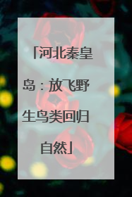 河北秦皇岛：放飞野生鸟类回归自然