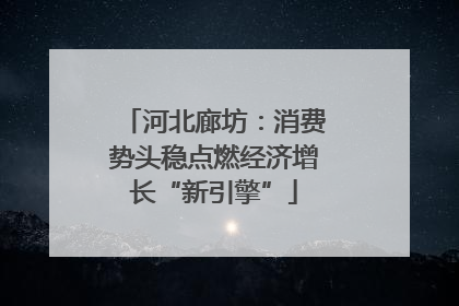 河北廊坊：消费势头稳点燃经济增长“新引擎”