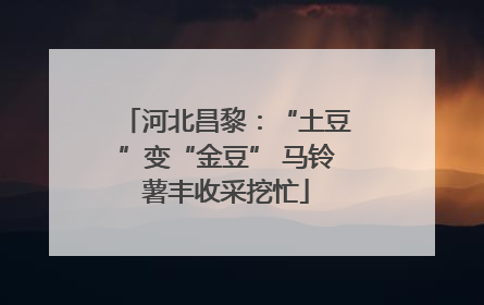 河北昌黎：“土豆”变“金豆” 马铃薯丰收采挖忙