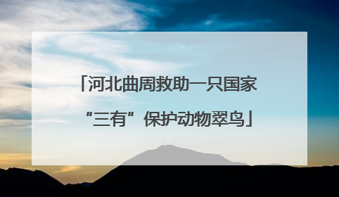 河北曲周救助一只国家“三有”保护动物翠鸟