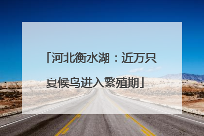河北衡水湖：近万只夏候鸟进入繁殖期