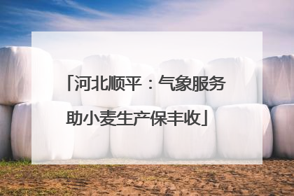 河北顺平：气象服务助小麦生产保丰收
