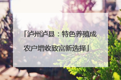 泸州泸县：特色养殖成农户增收致富新选择