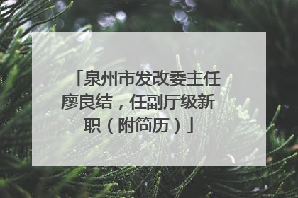 泉州市发改委主任廖良结，任副厅级新职（附简历）