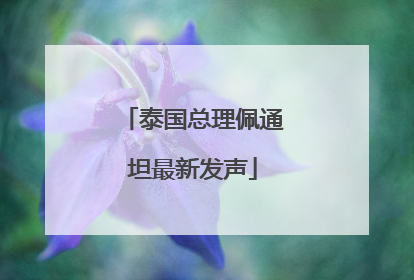 泰国总理佩通坦最新发声