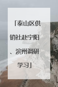 泰山区供销社赴宁阳、滨州调研学习