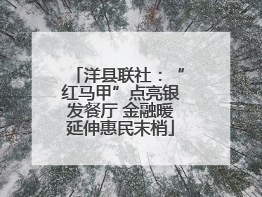 洋县联社：“红马甲”点亮银发餐厅 金融暖延伸惠民末梢
