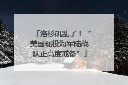 洛杉矶乱了！“美国现役海军陆战队正高度戒备”