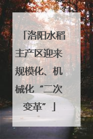 洛阳水稻主产区迎来规模化、机械化“二次变革”