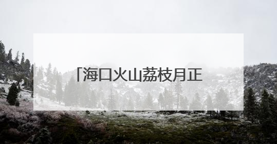 海口火山荔枝月正式启动 订单额（预售）4.11亿元