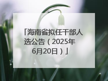 海南省拟任干部人选公告（2025年6月20日）