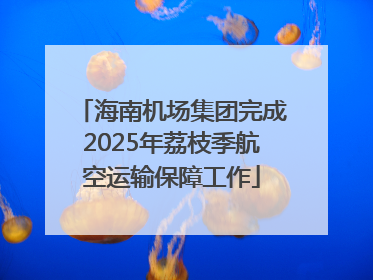 海南机场集团完成2025年荔枝季航空运输保障工作