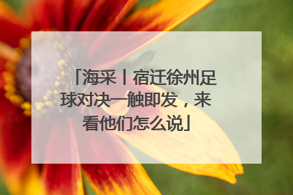 海采丨宿迁徐州足球对决一触即发，来看他们怎么说