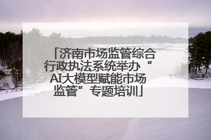 济南市场监管综合行政执法系统举办“AI大模型赋能市场监管”专题培训