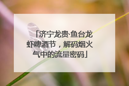 济宁龙贵·鱼台龙虾啤酒节，解码烟火气中的流量密码