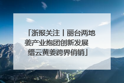 浙报关注丨丽台两地姜产业抱团创新发展 缙云黄姜跨界俏销