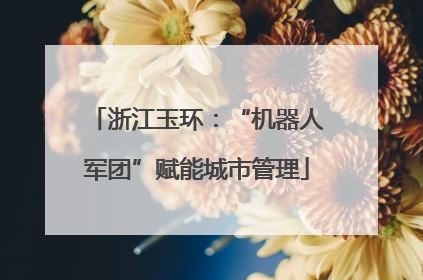 浙江玉环：“机器人军团”赋能城市管理