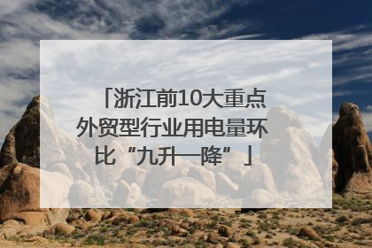 浙江前10大重点外贸型行业用电量环比“九升一降”