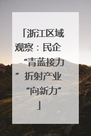 浙江区域观察：民企“青蓝接力”折射产业“向新力”