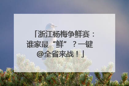 浙江杨梅争鲜赛：谁家最“鲜”？一键@全省来战！