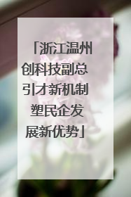 浙江温州创科技副总引才新机制 塑民企发展新优势