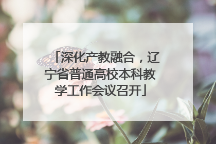 深化产教融合，辽宁省普通高校本科教学工作会议召开
