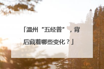 温州“五经普”，背后藏着哪些变化？