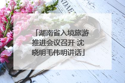湖南省入境旅游推进会议召开 沈晓明毛伟明讲话