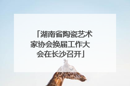 湖南省陶瓷艺术家协会换届工作大会在长沙召开