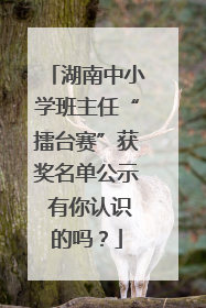 湖南中小学班主任“擂台赛”获奖名单公示 有你认识的吗？