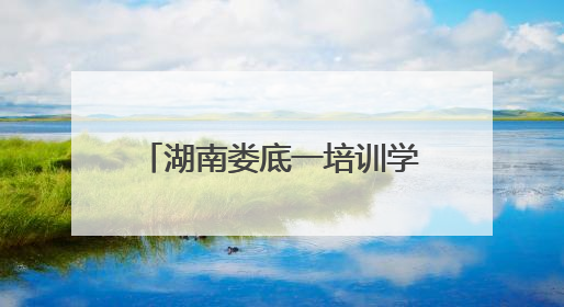 湖南娄底一培训学校老板被立案追责