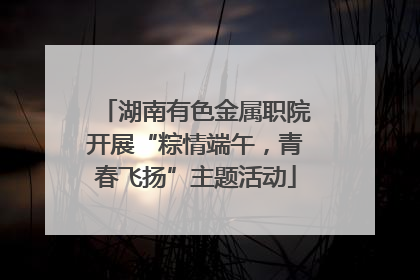 湖南有色金属职院开展“粽情端午，青春飞扬”主题活动