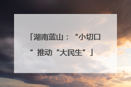 湖南蓝山：“小切口”推动“大民生”