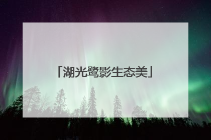 湖光鹭影生态美