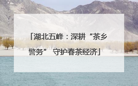 湖北五峰：深耕“茶乡警务” 守护春茶经济