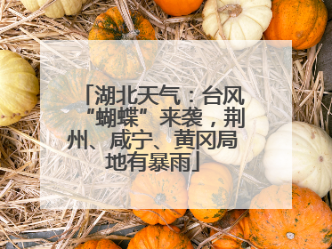 湖北天气：台风“蝴蝶”来袭，荆州、咸宁、黄冈局地有暴雨