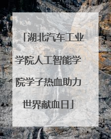 湖北汽车工业学院人工智能学院学子热血助力世界献血日