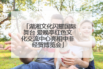 湖湘文化闪耀国际舞台 爱晚亭红色文化交流中心亮相中非经贸博览会