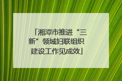 湘潭市推进“三新”领域妇联组织建设工作见成效