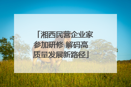 湘西民营企业家参加研修 解码高质量发展新路径