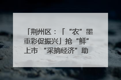 荆州区：「“农”墨重彩促振兴」抢“鲜”上市 “采摘经济”助农“甜蜜增收”