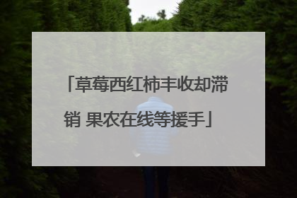 草莓西红柿丰收却滞销 果农在线等援手
