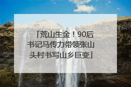 荒山生金！90后书记马传力带领张山头村书写山乡巨变