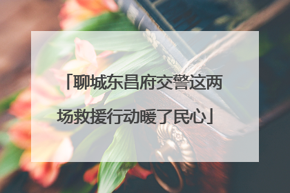 聊城东昌府交警这两场救援行动暖了民心