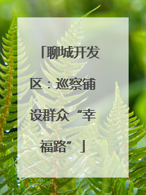 聊城开发区：巡察铺设群众“幸福路”