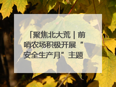 聚焦北大荒｜前哨农场积极开展“安全生产月”主题宣传活动