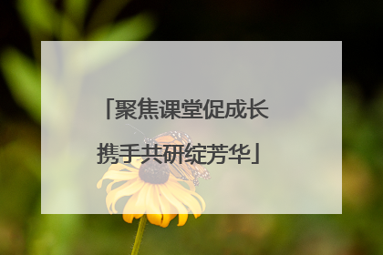 聚焦课堂促成长 携手共研绽芳华