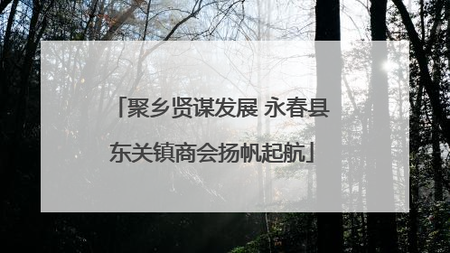 聚乡贤谋发展 永春县东关镇商会扬帆起航