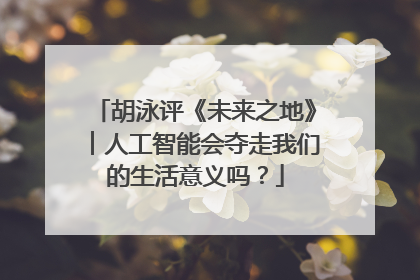 胡泳评《未来之地》︱人工智能会夺走我们的生活意义吗？